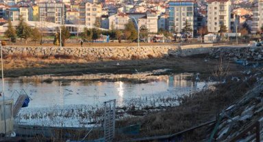 Beyşehir Gölü'nde kuraklığın ardından 'otlanma' tehlikesi