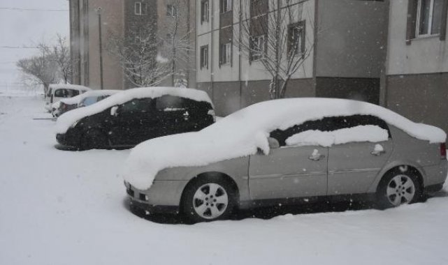 Bitlis ve Van'da kar yağışı etkili oldu