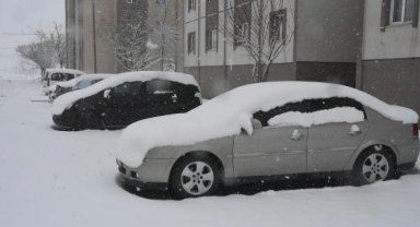Bitlis ve Van'da kar yağışı etkili oldu
