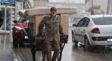 Bitlis ve Van'da kar yağışı etkili oldu