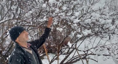 Bitlis ve Van'da kar yağışı etkili oldu