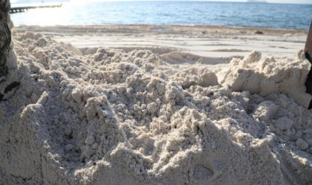 Bodrum'da sahile beyaz kum döken otelin çalışması durduruldu