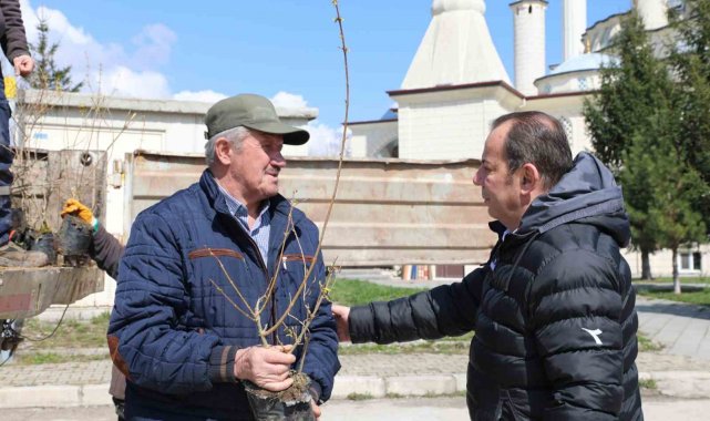 Bolu Belediyesi mahallelerde fidan dağıtıyor