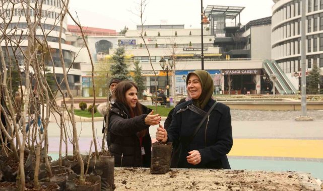 Bolu'da 4 bin adet fidan ücretsiz dağıtıldı