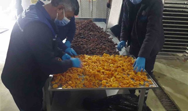 Büyükşehir, Malatya'da üreticilerden satın aldığı kayısıları ücretsiz dağıtacak