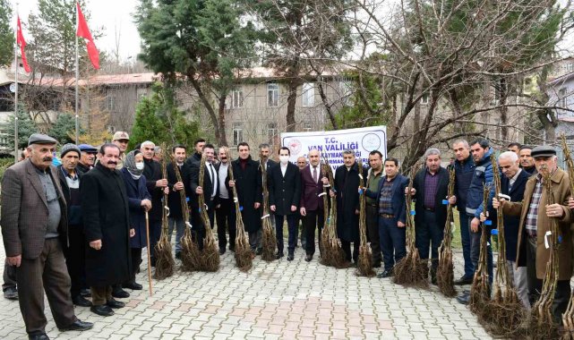 Çatak'ta 19 bin 250 ceviz fidanı dağıtıldı