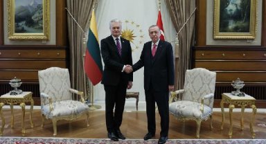 Cumhurbaşkanı Erdoğan, Litvanya Cumhurbaşkanı ile görüştü