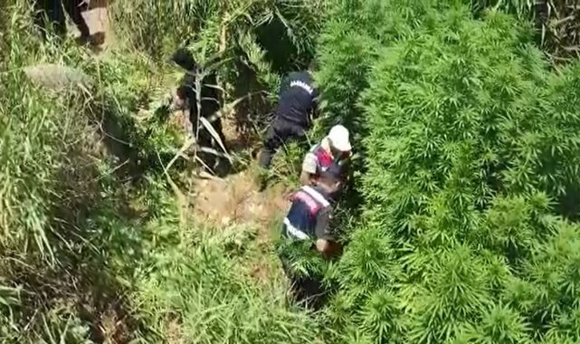 Denizli jandarması suçlulara geçit vermiyor