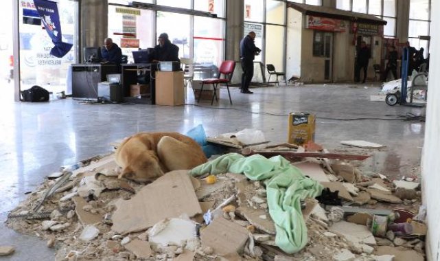 Depremde bazı bölümleri yıkılan Antakya Otogarı'nda zorlu mesai