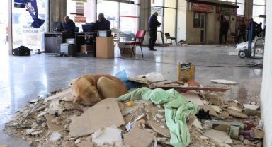 Depremde bazı bölümleri yıkılan Antakya Otogarı'nda zorlu mesai