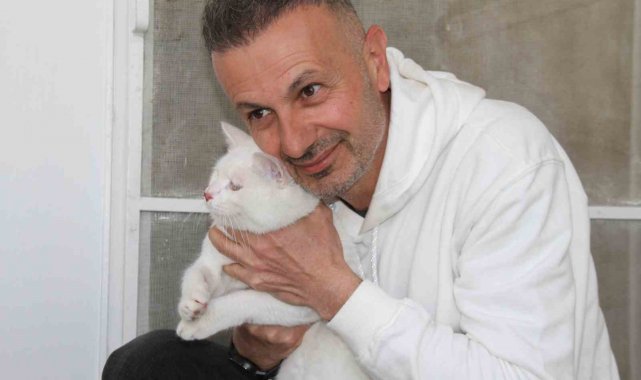 Depremde enkazdan kurtarılan kedi, mikroçip sayesinde sahibine teslim edildi