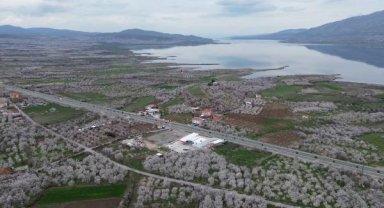 Depremin vurduğu Malatya'da, kayısı ağaçları çiçek açtı