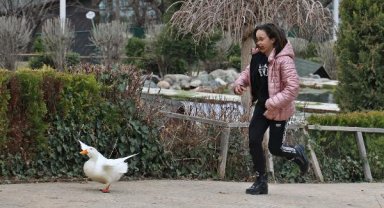 Depremzede çocuklar hayvanat bahçesini gezdi