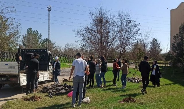 Dicle Üniversitesi, hayatını kaybeden personel ve öğrencileri adına hatıra ormanı oluşturdu