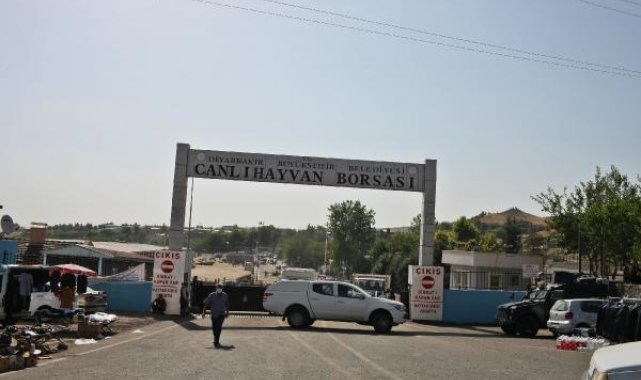Diyarbakır ve Siirt'te hayvan borsası pazarları kapatıldı