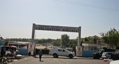 Diyarbakır ve Siirt'te hayvan borsası pazarları kapatıldı