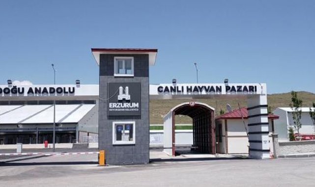 Doğu Anadolu Canlı Hayvan Pazarı kapatıldı