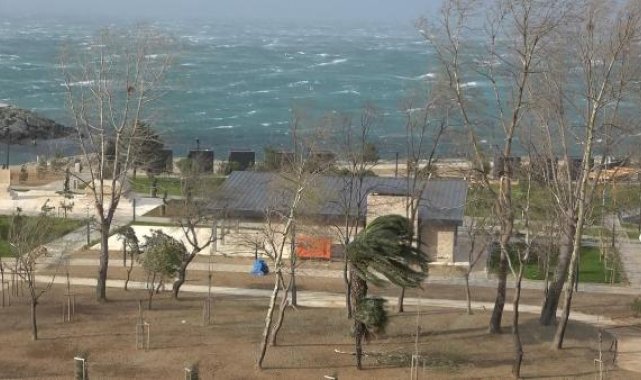 Doğu Karadeniz'de fırtına etkisi; çatı uçtu, ağaç devrildi