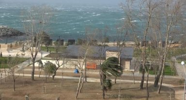 Doğu Karadeniz'de fırtına etkisi; çatı uçtu, ağaç devrildi