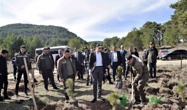Domaniç'te 250 karaçam fidanı toprakla buluştu