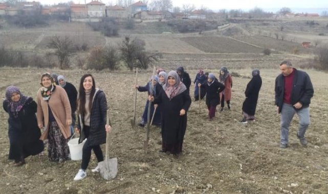 Domaniç'te Tıbbi ve Aromatik Bitkileri Yetiştiriciliği kursu sona erdi