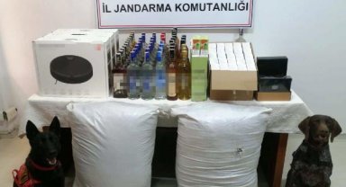 Edirne'de 'kaçakçılık' operasyonu: 9 gözaltı
