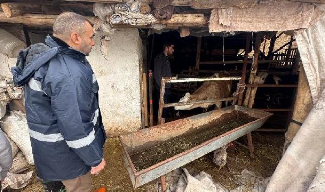 Elazığ'da sağanak; evler ve tarım arazileri su altında kaldı