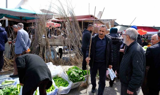 Erzincan'da meyve fidanı satışı başladı