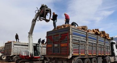 Erzurum'dan depremzedelere 150 ton yakacak odun