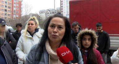 Esenyurt'ta yavru kedilerin öldürüldüğü iddiası