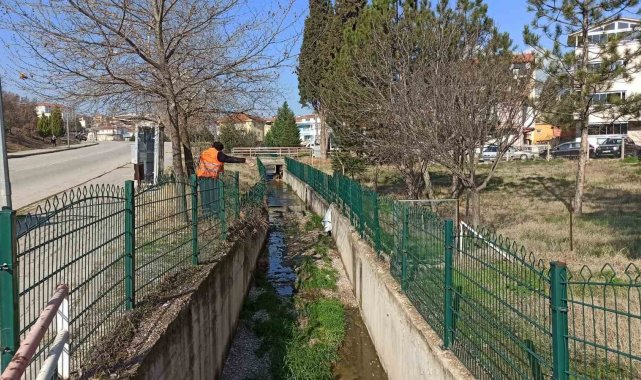 Gediz'de Larva ile mücadele devam ediyor