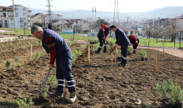 Gündoğdu lavanta ile canlandırılacak