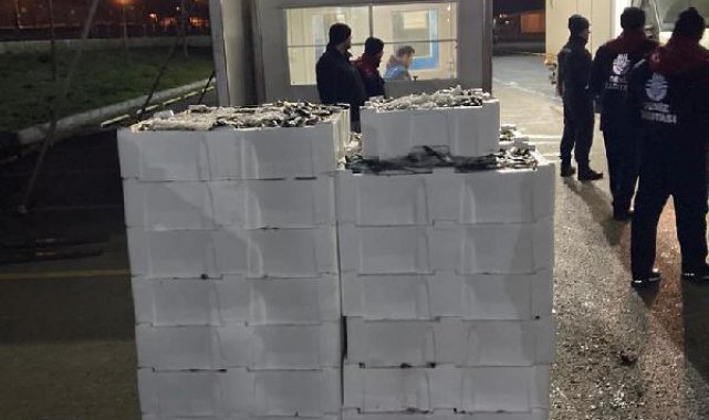 Gürpınar Su Ürünleri Halinde 2 tona yakın balığa el konuldu