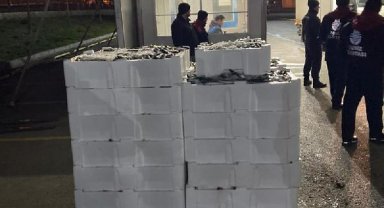 Gürpınar Su Ürünleri Halinde 2 tona yakın balığa el konuldu