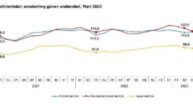 Güven endeksi hizmet sektöründe yükseldi, perakende ticaret ve inşaat sektöründe düştü