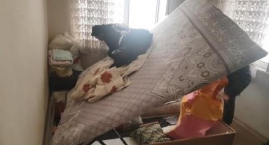 Hatay'da kuyumcu dükkanlarını yağmalayan 5 kişi istanbul'da yakalandı