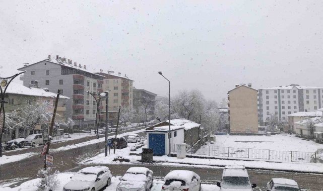 Hizan'da kar yağışı