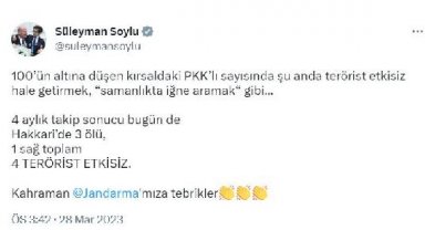 İçişleri: Hakkari'de 4 terörist etkisiz hale getirildi