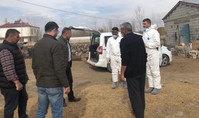 Iğdır'da şap aşısı devam diyor