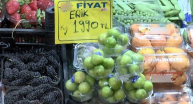 İstanbul'da çeyrek altın fiyatına 1 kilo erik