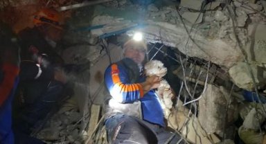 Kabındaki mama ile 25 gün hayatta kalan 'Fıstık', kurtarıldı