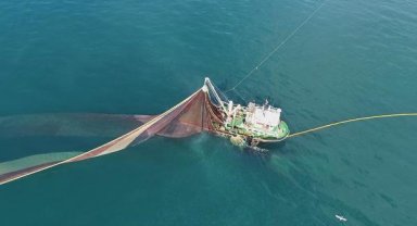 Karadeniz'de 'hamsi avı 1 yıl ertelensin' çağrısı