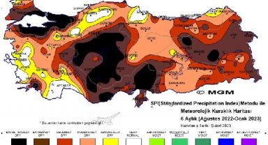 Karadeniz'de bitkisel üretimde 'çok şiddetli kuralık' tehdidi