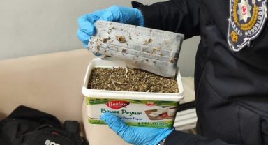 Kastamonu'da uyuşturucu operasyonu: 50 gözaltı