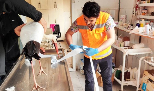 Keçiören Belediyesi binlerce afetzede canlıyı tedavi etti