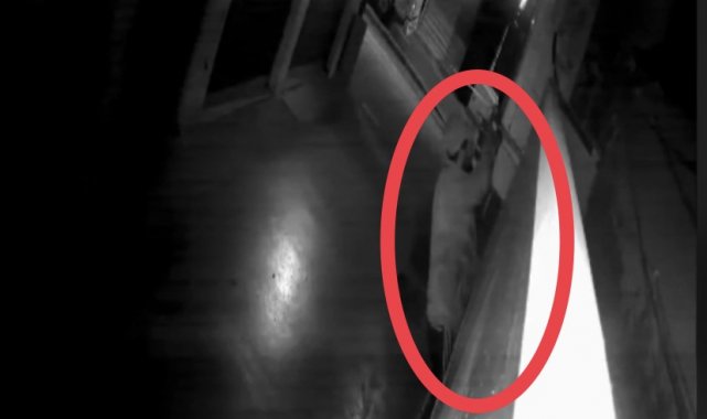 Kedi gibi duvara tırmanan hırsız, güvenlik kameralarından kaçamadı
