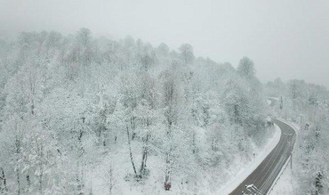 Kocaeli ve Sakarya'da kar yağışı
