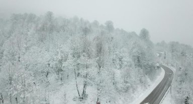 Kocaeli ve Sakarya'da kar yağışı