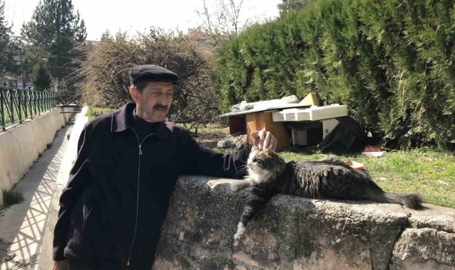 Komşularının istemediği kedileri için parka ev yaptı
