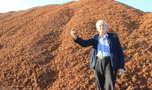 Kömür fiyatları arttı, çam fıstığı kabukları kıymete bindi
